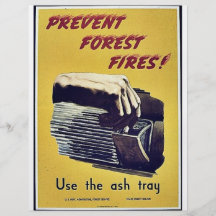 Prevent Forest Fires Flyer