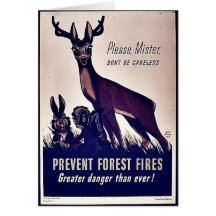 Prevent Forest Fires Greeting Card