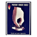 Prevent Forest Fires Postcard