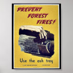 Prevent Forest Fires Poster
