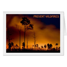 Prevent Wildfire Greeting Card