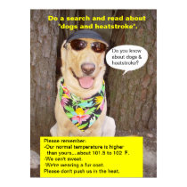 Preventing Heatstroke posters