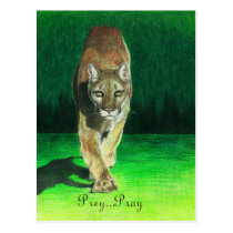 Prey...Pray Cougar Big Cat Postcard