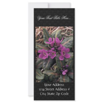 Pribilof wildflowers, Primula Custom Rack Cards