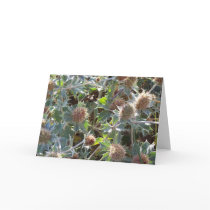 Prickle Thistle cards by MartinWoods Prickle Thistle cards