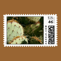 Prickley Pear Cactus stamps