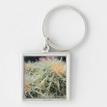 Prickly Barrel Cactus Key Chain