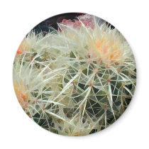 Prickly Barrel Cactus Fridge Magnets
