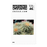 Prickly Barrel Cactus Postage
