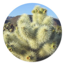 Prickly Cholla Cactus Sticker
