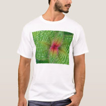 prickly curves t-shirts