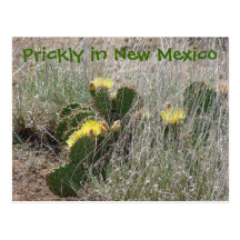 Prickly in New Mexico Post Cards