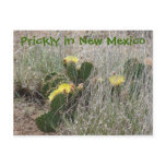 Prickly in New Mexico
