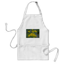 Prickly Pear But Not Cactus Aprons