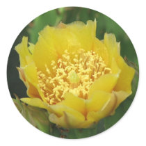 Prickly Pear Cactus Bloom stickers