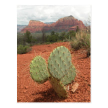 Prickly pear cactus in Sedona, Arizona - Postcard