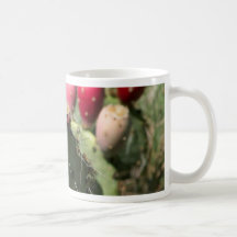 Prickly Pear Cactus In Texas Mug