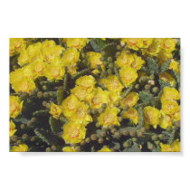 Prickly Pear Cactus posters by Raftiinstitute Prickly Pear Cactus posters