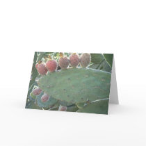Prickly Pear fruit. cards