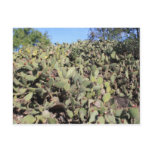 Prickly Pear Gifts Postcards