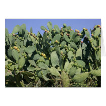 prickly pears cards