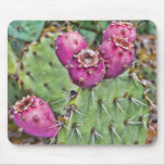 Prickly Pears Mousepad