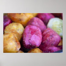 Prickly pears Print