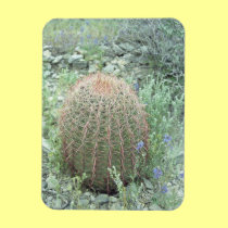 Prickly Pink Petals Cactus Decorative Magnets magnets