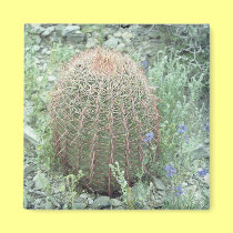 Prickly Pink Petals Cactus Refrigerator Magnet magnets