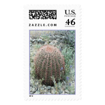Prickly Pink Petals Stamp by donnabellas Prickly Pink Petals Stamp