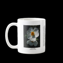 Prickly Poppy Coffee Mug