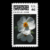Prickly Poppy Postage stamps