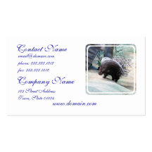 Prickly Porcupine Business Cards