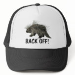 Prickly Porky hats