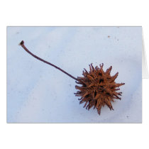 Prickly Seed ~ card by Andy2302 Prickly Seed ~ card