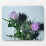 Prickly Thistle Mousemat