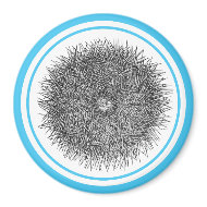 Pricky Urchin magnet magnet