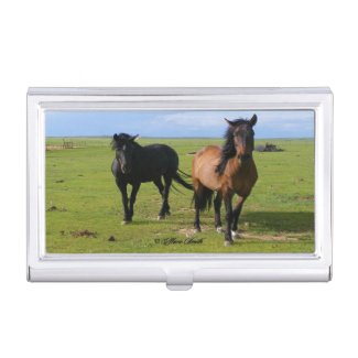 Pride and Beauty Business Card Holder