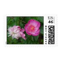 Pride and Prejudice Stamp