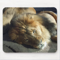 Pride mousepads by rdwnggrl Pride mousepads