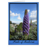 Pride of Madeira Flower Greeting Card