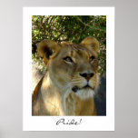 Pride! Posters