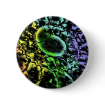 Primal Ammonite Multi Button