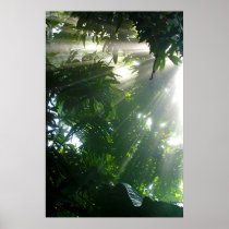 PRIMAL POSTERS
