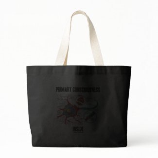 Primary Consciousness Inside (Neuron / Synapse) bag