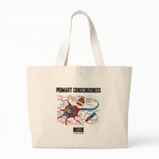 Primary Consciousness Inside (Neuron / Synapse) bag
