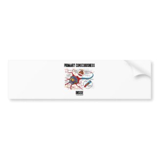 Primary Consciousness Inside (Neuron / Synapse) bumpersticker