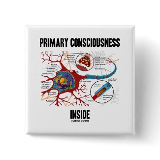 Primary Consciousness Inside (Neuron / Synapse) button