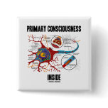 Primary Consciousness Inside (Neuron / Synapse) Pin