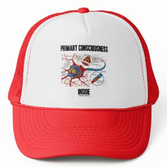 Primary Consciousness Inside (Neuron / Synapse) hat